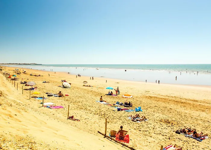 Le Bateau Ivre 50 M De La